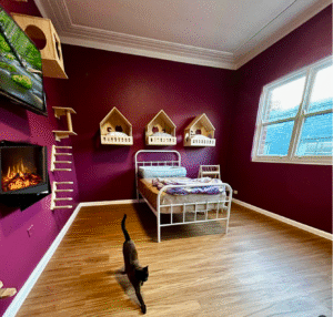 best cat hotel